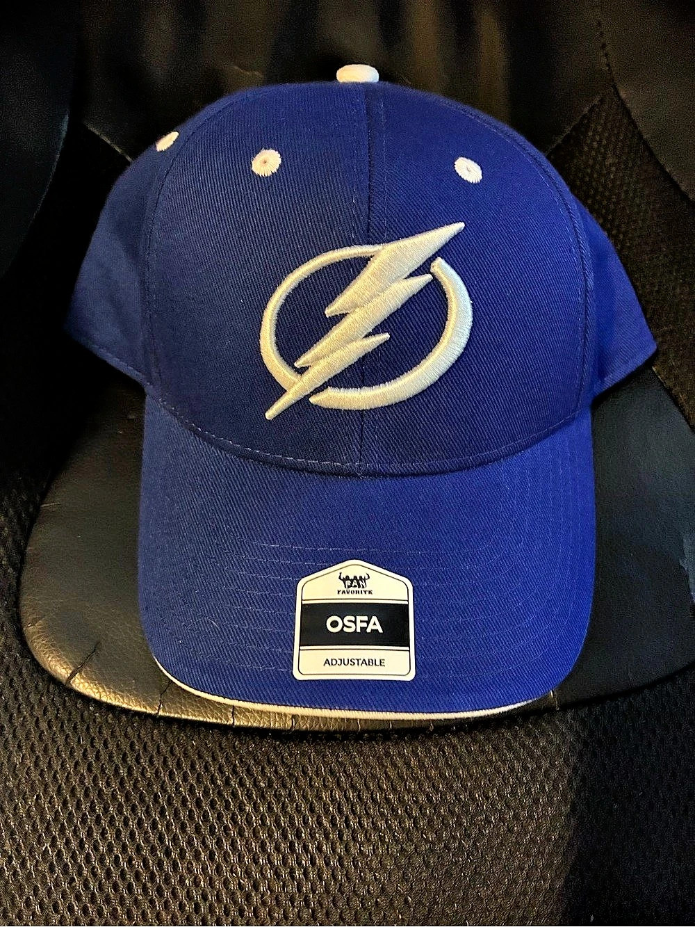NHL Lightning Logo Snapback Hat Blue
